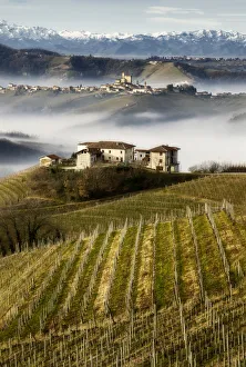 Agricolture Gallery: Vineyards in Langhe with a farmhouse on the foreground, Serralunga D'