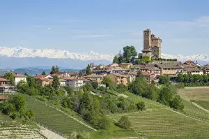 Serralunga Dalba Prints: Vineyards in Langhe with Serralunga D Alba with his castle on the foreground