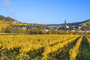 Lieser Prints: Vineyards with Lieser, Mosel valley, Rhineland-Palatinate, Germany