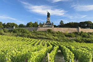 Romantic Rhine Prints: Vineyards and Niederwalddenkmal monument, Rudesheim, Rhineland-Palatinate, Germany