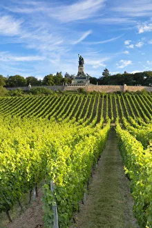 Vineyards and Niederwalddenkmal monument, Rudesheim, Rhineland-Palatinate, Germany