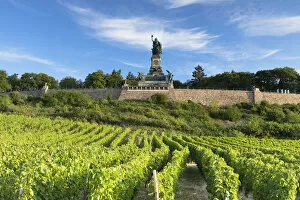 Images Dated 17th July 2018: Vineyards and Niederwalddenkmal monument, Rudesheim, Rhineland-Palatinate, Germany