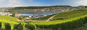 Images Dated 17th July 2018: Vineyards and River Rhine, Rudesheim, Rhineland-Palatinate, Germany
