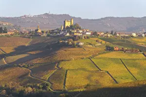 Harvest Prints: Vineyards Serralunga d'Alba, Piedmont, Italy