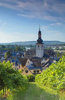 Images Dated 17th July 2018: Vineyards and St Jacobs Church, Rudesheim, Rhineland-Palatinate, Germany