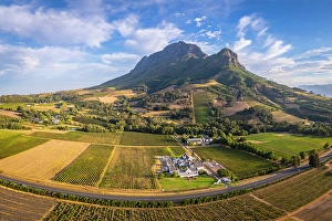 Vineyards of Stellenbosch & Simonsberg Mountain, Western Cape, South Africa