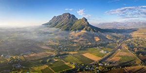 Cape Winelands Prints: Vineyards of Stellenbosch & Simonsberg Mountain, Western Cape, South Africa