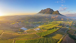 Western Cape Prints: Vineyards of Stellenbosch & Simonsberg Mountain, Western Cape, South Africa