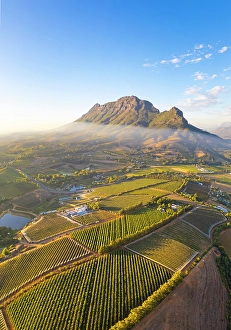 Cape Winelands Prints: Vineyards of Stellenbosch & Simonsberg Mountain, Western Cape, South Africa