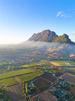 Cape Winelands Prints: Vineyards of Stellenbosch & Simonsberg Mountain, Western Cape, South Africa