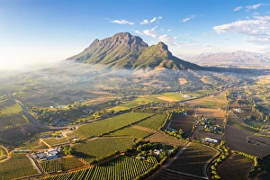 Cape Winelands Prints: Vineyards of Stellenbosch & Simonsberg Mountain, Western Cape, South Africa