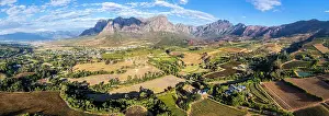 Cape Winelands Prints: Vineyards of Stellenbosch, Western Cape, South Africa