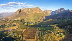 Cape Winelands Prints: Vineyards of Stellenbosch, Western Cape, South Africa