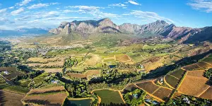 Western Cape Prints: Vineyards of Stellenbosch, Western Cape, South Africa