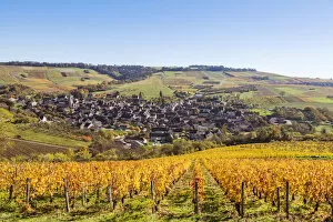 Vineyards surrounding Irancy, Burgundy, France