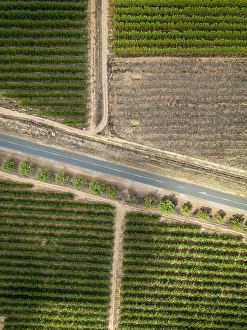 Cape Winelands Prints: Vineyards surrounding Tulbagh, Western Cape, South Africa