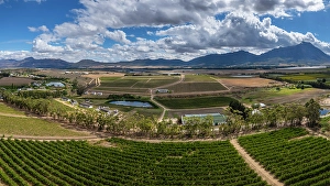 Cape Winelands Prints: Vineyards surrounding Tulbagh, Western Cape, South Africa