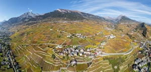 Rhone Valley Prints: Vineyards above Vetroz, near Sion, Rhone Valley, Valais, Switzerland