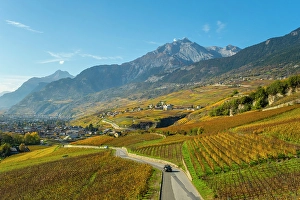 Rhone Valley Prints: Vineyards above Vetroz, near Sion, Rhone Valley, Valais, Switzerland