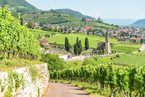 Hillside Prints: Vineyards and the village of Cortaccia, sulla Strada del Vino, Trentino Alto Adige, Italy
