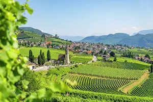 Grapes Prints: Vineyards and the village of Cortaccia, sulla Strada del Vino, Trentino Alto Adige, Italy
