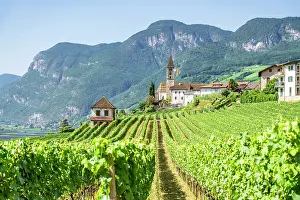 Country Prints: Vineyards and the village of Cortaccia, sulla Strada del Vino, Trentino Alto Adige, Italy