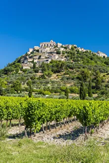 Vineyards with village of Gordes in the background, Vaucluse, Provence, France