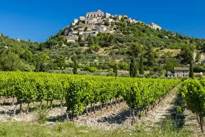 Images Dated 4th August 2015: Vineyards with village of Gordes in the background, Vaucluse, Provence, France