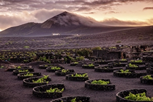 Volcanic Landscape Prints: The vineyards and volcanic landscape of La Geria, Lanzarote, Canary Islands, Spain