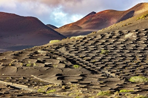 Volcanic Landscape Prints: The vineyards and volcanic landscape of La Geria, Lanzarote, Canary Islands, Spain