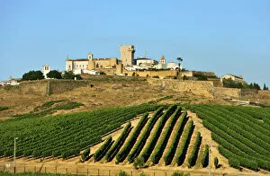 Images Dated 10th September 2013: Vineyards and the walled city of Estremoz. Alentejo, Portugal