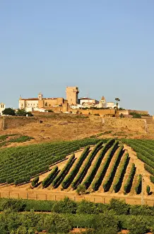Estremoz Prints: Vineyards and the walled city of Estremoz. Alentejo, Portugal
