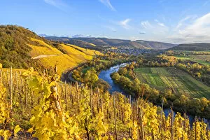 Images Dated 15th December 2021: Vineyards with Wiltingen, Saar valley, Hunsruck, Rhineland-Palatinate, Germany