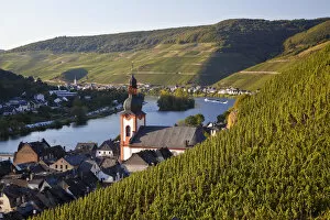 Images Dated 28th June 2011: Vineyards & Zell Mosel Village, Mosel Valley, Germany