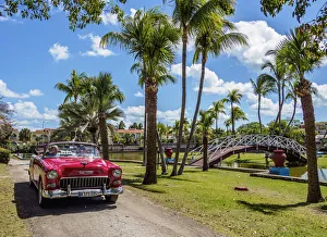 Almendron Prints: Vintage Car in Josone Park, Varadero, Matanzas Province, Cuba