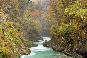 Vintgar Gorge Prints: Vintgar Gorge and Radovna River in Autumn, near Bled, Slovenia