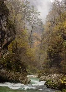 Vintgar Gorge Prints: Vintgar Gorge and Radovna River in Autumn, near Bled, Slovenia
