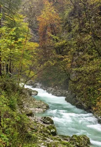 Vintgar Gorge Prints: Vintgar Gorge and Radovna River in Autumn, near Bled, Slovenia