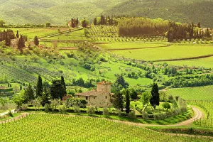 Vinyards Panzano, Chianti Region, central Tuscany, Italy