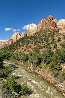 Virgin river running through Zion Canyon Zion National Park, Utah, USA