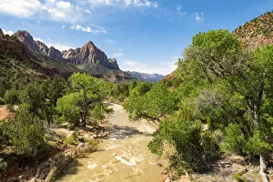 Images Dated 24th July 2019: Virgin river and the Watchman, Zion National Park, Utah, USA