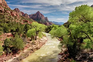 Southwest Prints: Virgin River in Zion National Park, Utah, USA