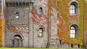 Grade Ii Prints: Virginia creeper on the walls of the Penrhyn Castle (Castell Penrhyn)
