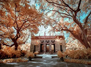 Infrared Prints: Vizcaya Museum and Garden, Coral Gables, Florida, USA