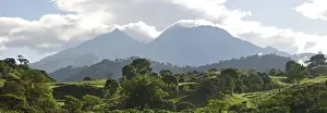 Biodiversity Prints: Volcan Baru rising about the forest, Panama, Central America