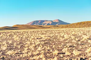 Catamarca Prints: Volcanic desert, Antofagasta de la Sierra, Puna, Catamarca, Argentina