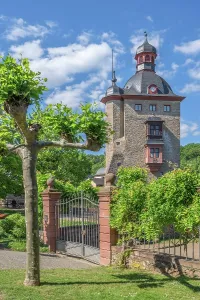 Wine Growing Region Prints: Vollrads Castle, Keep, Oestrich-Winkel, Rhine valley, Hesse, Germany