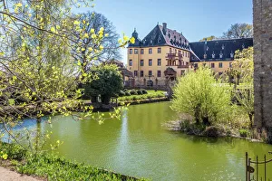 Rheingau Prints: Vollrads Castle near Oestrich-Winkel, Rheingau, Hesse, Germany