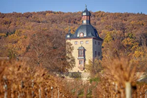Rheingau Prints: Vollrads Castle in the vineyards above Oestrich-Winkel, Rheingau, Hesse, Germany