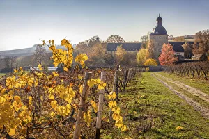 Vollrads Castle in the vineyards above Oestrich-Winkel, Rheingau, Hesse, Germany
